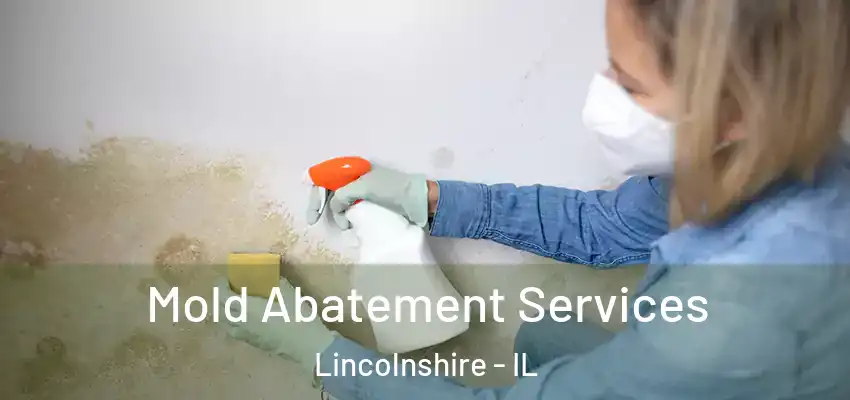  Mold Abatement Services Lincolnshire - IL