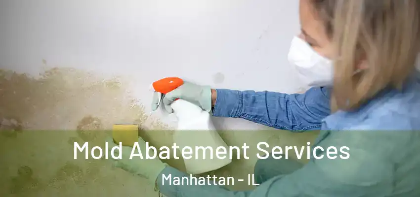 Mold Abatement Services Manhattan - IL