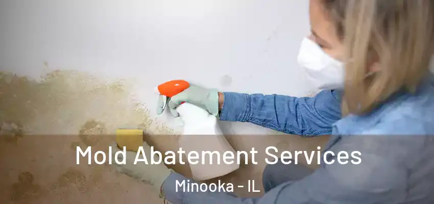  Mold Abatement Services Minooka - IL