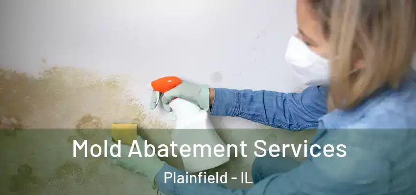  Mold Abatement Services Plainfield - IL