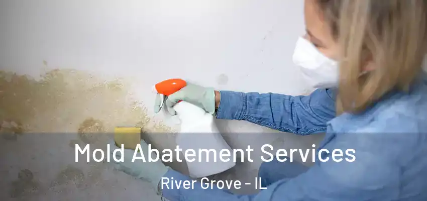  Mold Abatement Services River Grove - IL