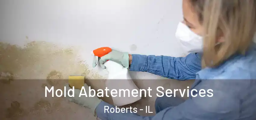  Mold Abatement Services Roberts - IL