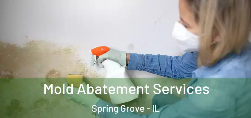  Mold Abatement Services Spring Grove - IL