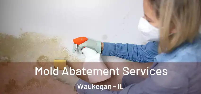  Mold Abatement Services Waukegan - IL