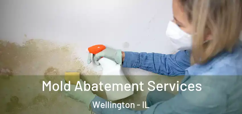  Mold Abatement Services Wellington - IL