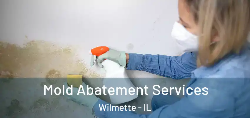  Mold Abatement Services Wilmette - IL