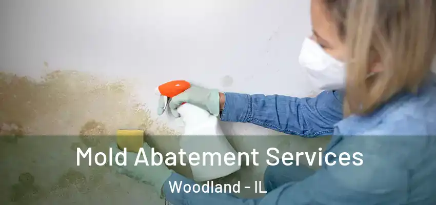  Mold Abatement Services Woodland - IL