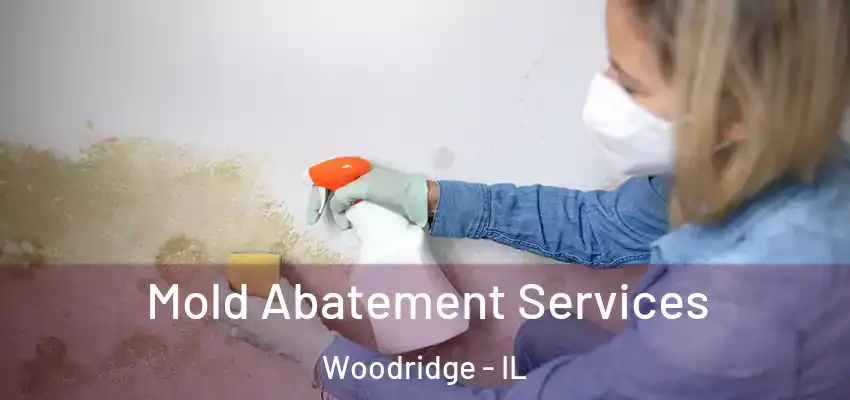 Mold Abatement Services Woodridge - IL