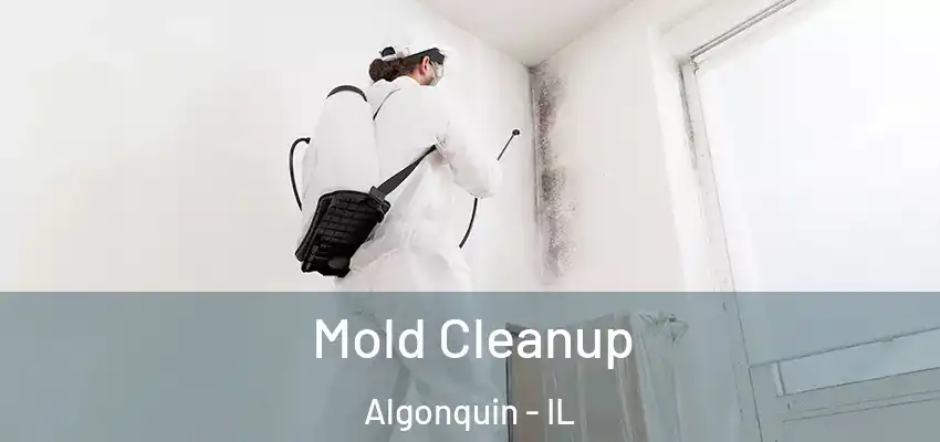  Mold Cleanup Algonquin - IL