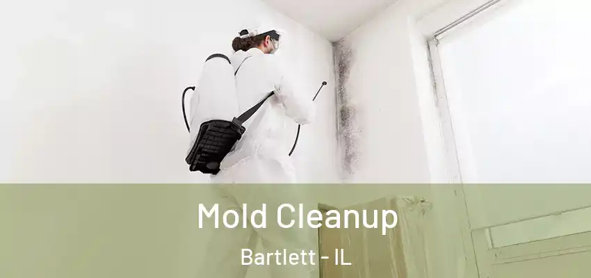 Mold Cleanup Bartlett - IL