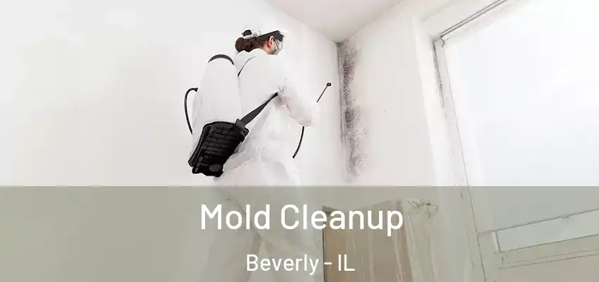 Mold Cleanup Beverly - IL