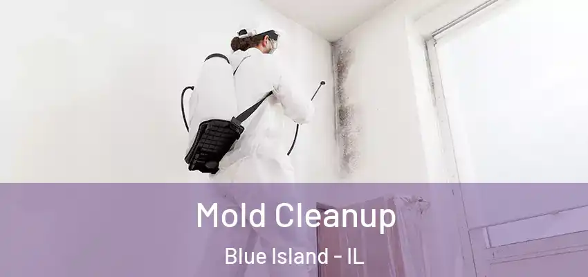  Mold Cleanup Blue Island - IL
