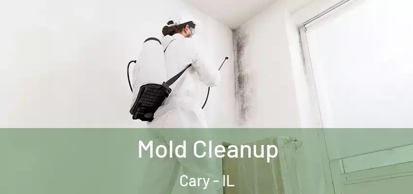 Mold Cleanup Cary - IL