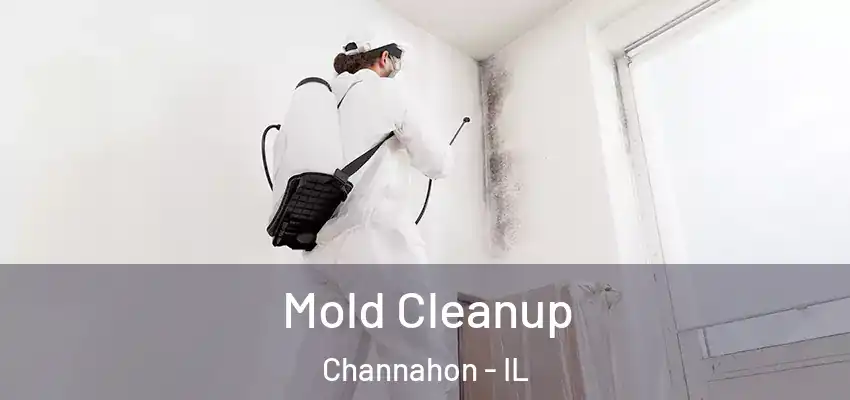 Mold Cleanup Channahon - IL