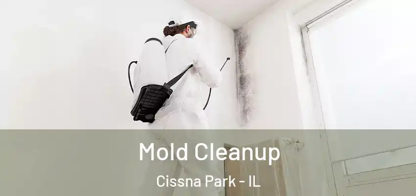  Mold Cleanup Cissna Park - IL