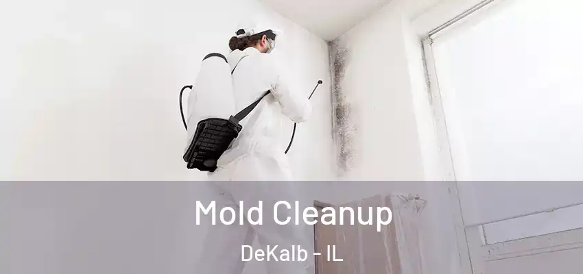  Mold Cleanup DeKalb - IL