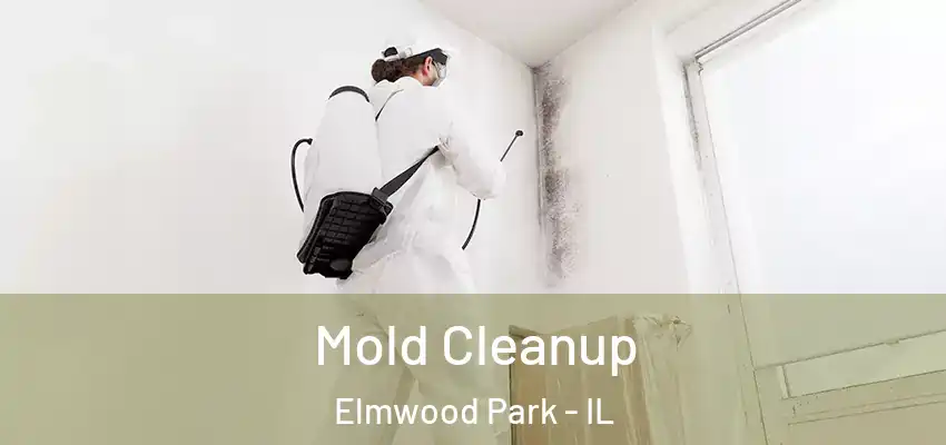  Mold Cleanup Elmwood Park - IL