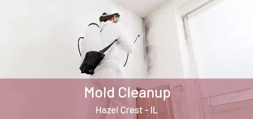  Mold Cleanup Hazel Crest - IL