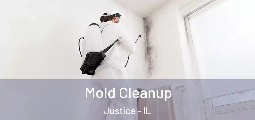  Mold Cleanup Justice - IL