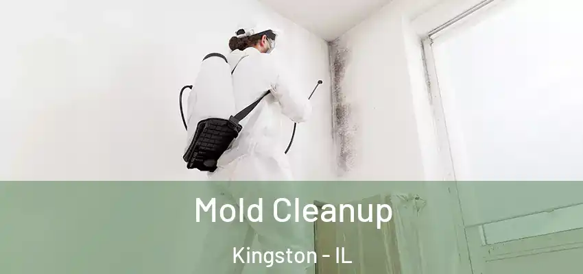  Mold Cleanup Kingston - IL