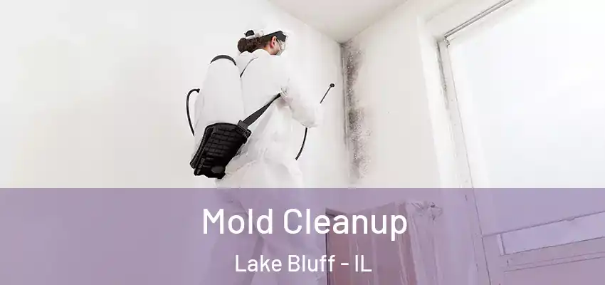 Mold Cleanup Lake Bluff - IL