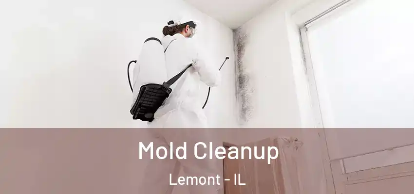  Mold Cleanup Lemont - IL
