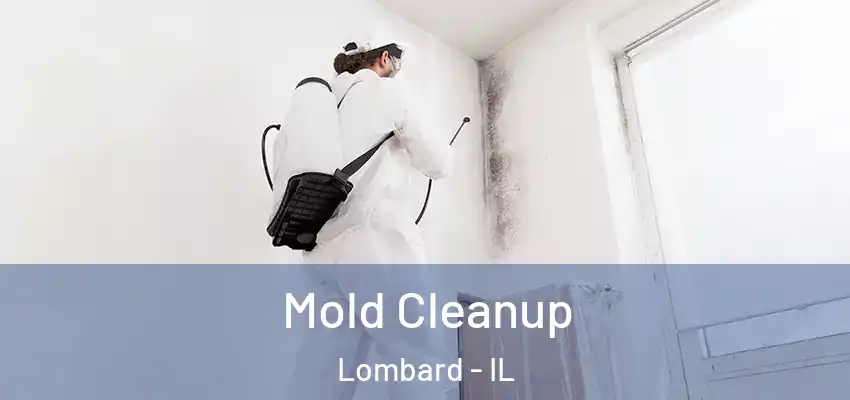  Mold Cleanup Lombard - IL