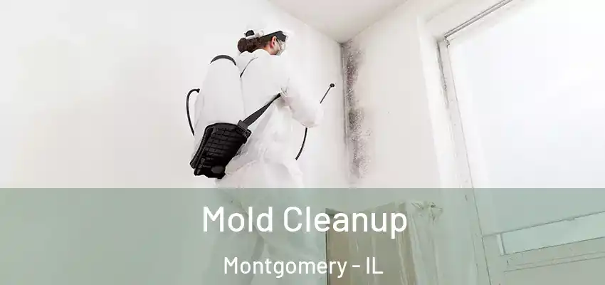  Mold Cleanup Montgomery - IL
