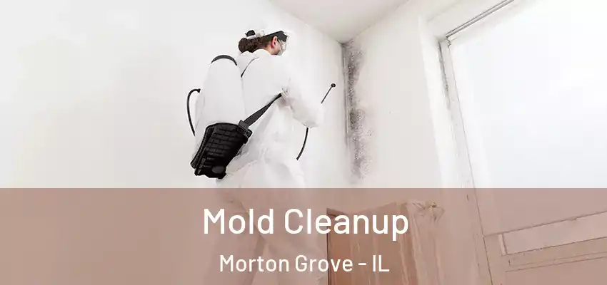  Mold Cleanup Morton Grove - IL