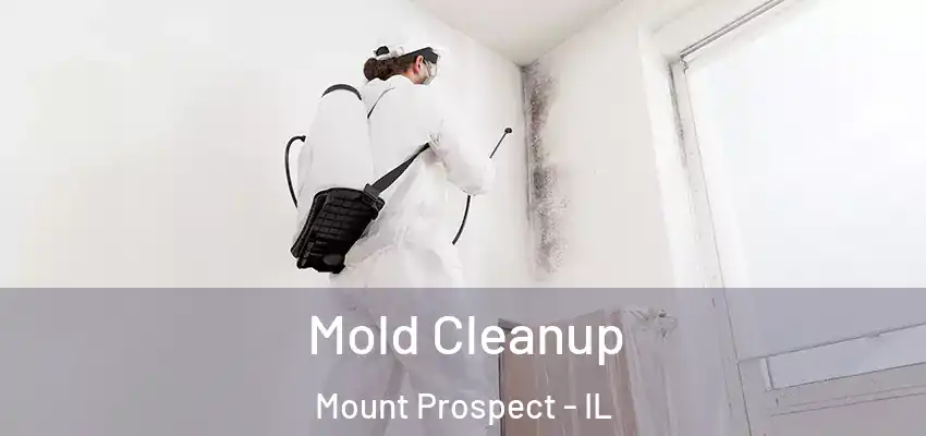  Mold Cleanup Mount Prospect - IL