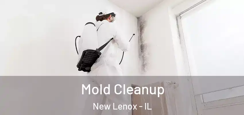  Mold Cleanup New Lenox - IL