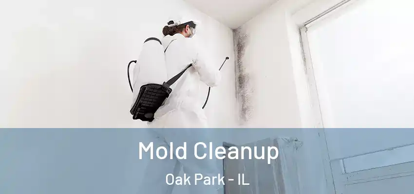  Mold Cleanup Oak Park - IL
