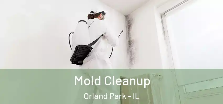  Mold Cleanup Orland Park - IL