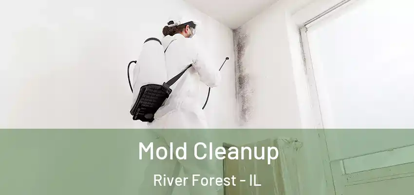  Mold Cleanup River Forest - IL
