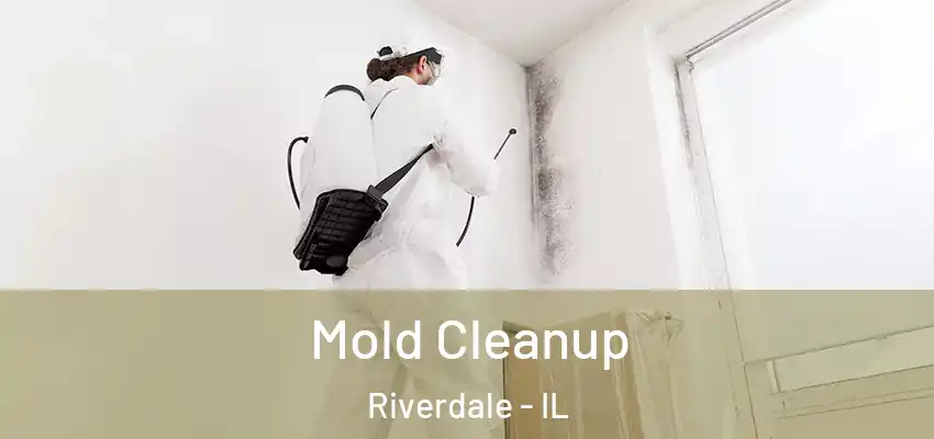  Mold Cleanup Riverdale - IL