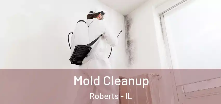  Mold Cleanup Roberts - IL