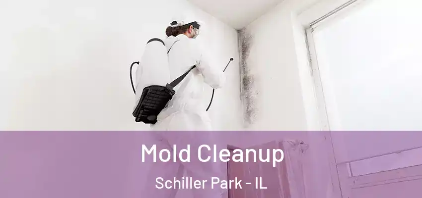  Mold Cleanup Schiller Park - IL