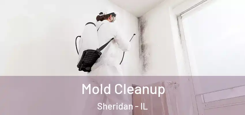  Mold Cleanup Sheridan - IL