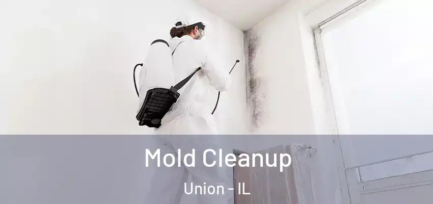  Mold Cleanup Union - IL