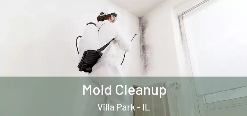  Mold Cleanup Villa Park - IL
