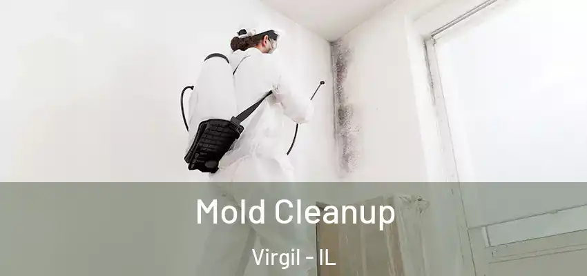  Mold Cleanup Virgil - IL