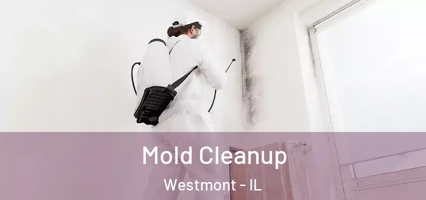  Mold Cleanup Westmont - IL
