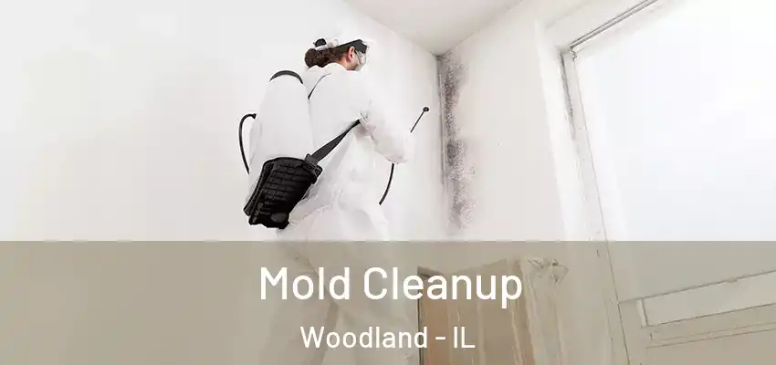  Mold Cleanup Woodland - IL