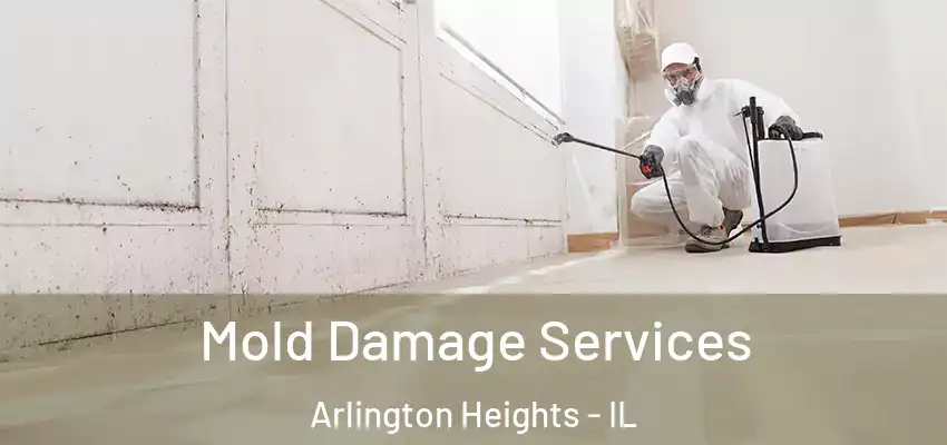  Mold Damage Services Arlington Heights - IL