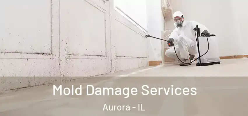  Mold Damage Services Aurora - IL