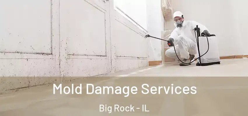 Mold Damage Services Big Rock - IL
