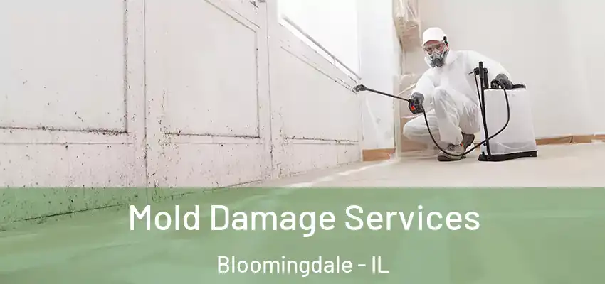  Mold Damage Services Bloomingdale - IL
