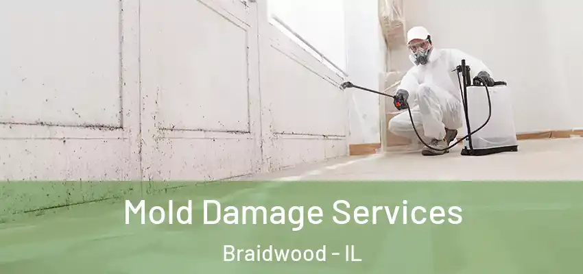  Mold Damage Services Braidwood - IL