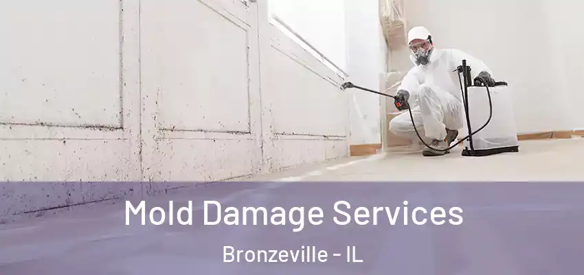  Mold Damage Services Bronzeville - IL