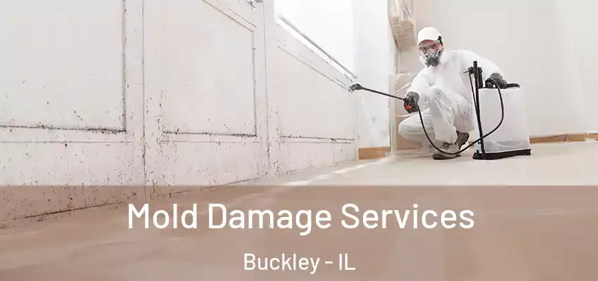  Mold Damage Services Buckley - IL